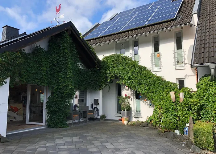 Küken Winterberg