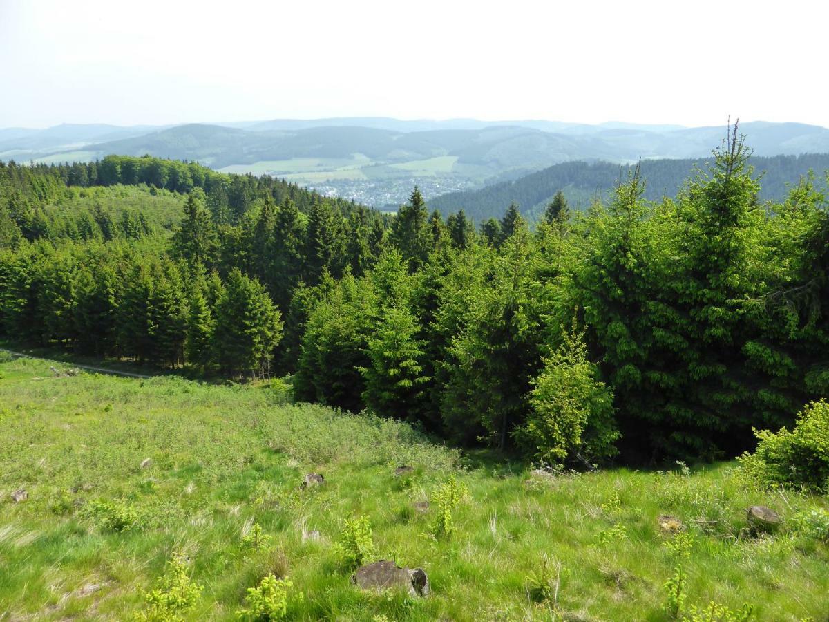 Küken